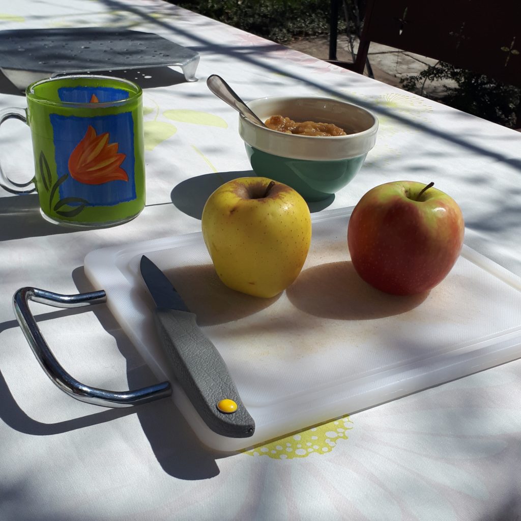 Déjeuner en terrasse en monodiète de pommes