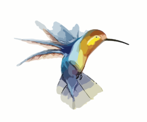 Suite de ma présentation : je suis un colibri